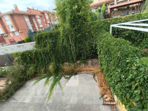 Jardín